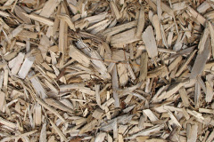 biomass boilers Trevanson