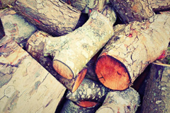 Trevanson wood burning boiler costs